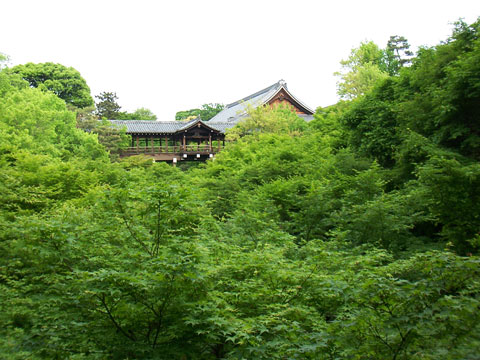 東福寺通天橋