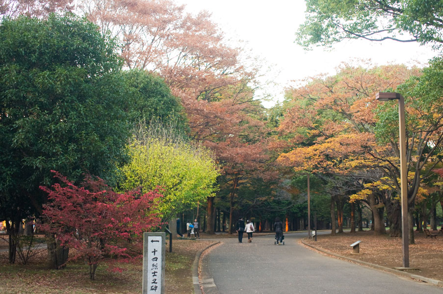 代々木の紅葉7