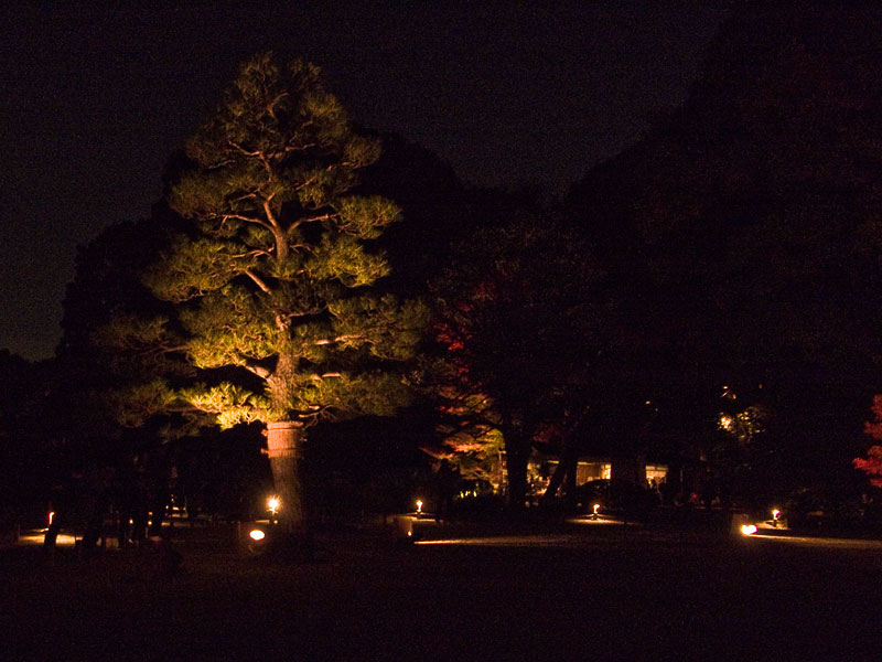 六義園の紅葉5