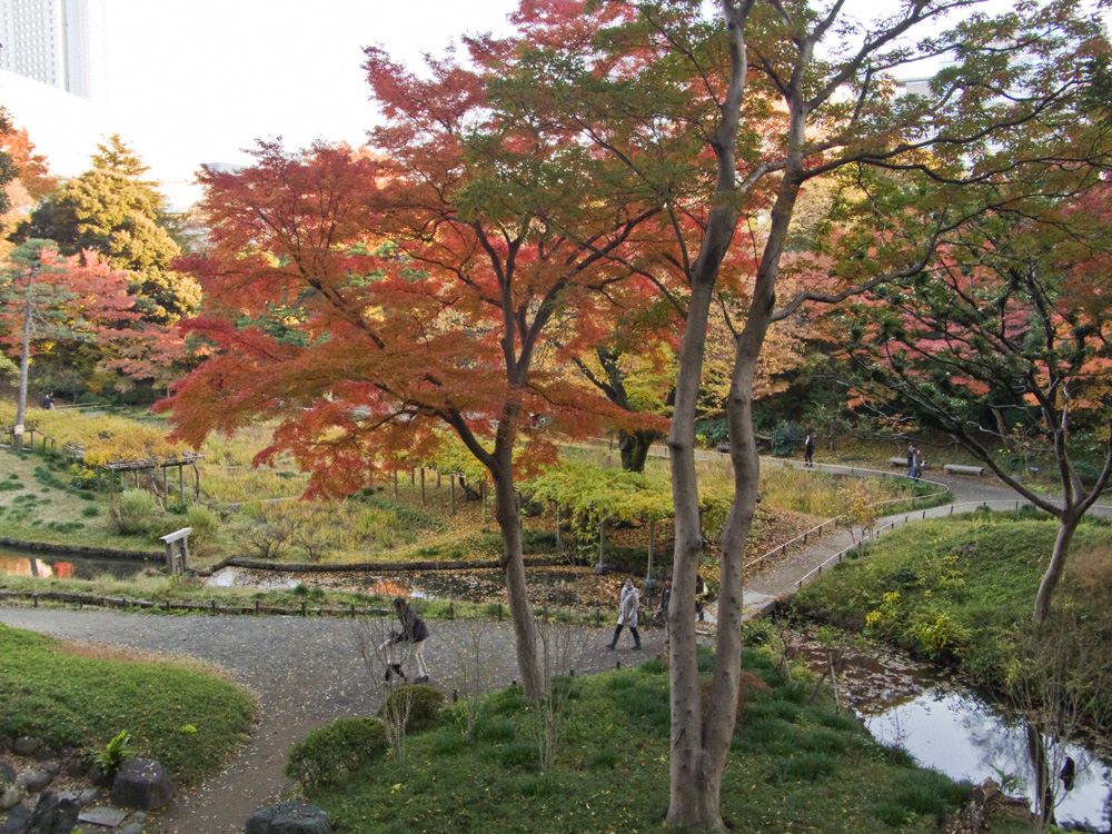 小石川後楽園の紅葉