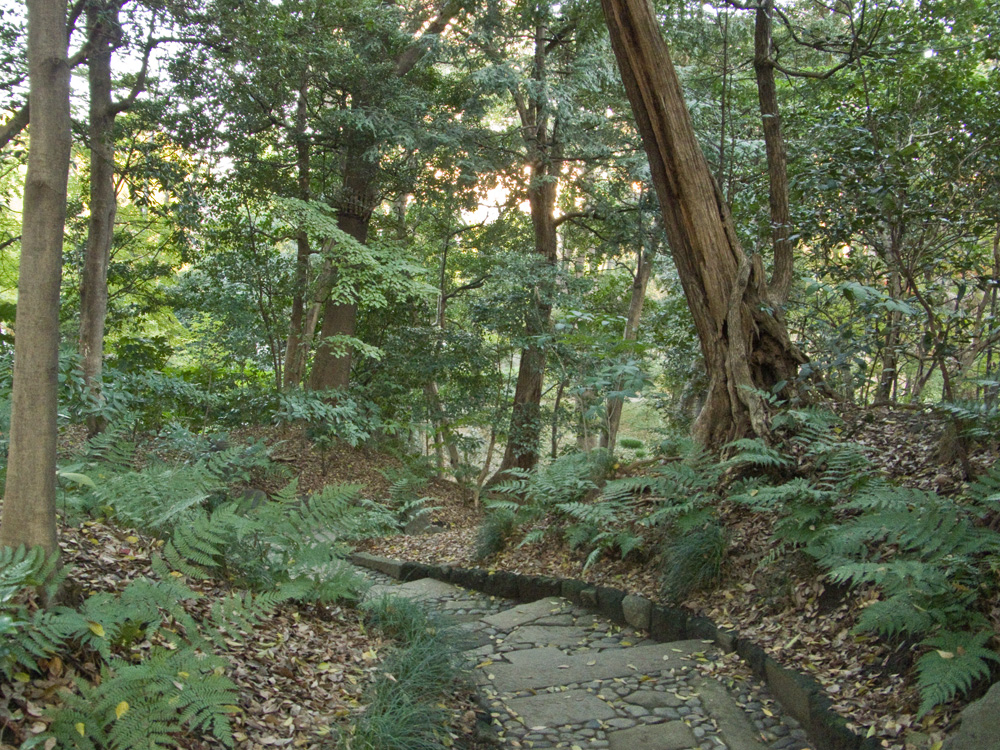 小石川後楽園の紅葉