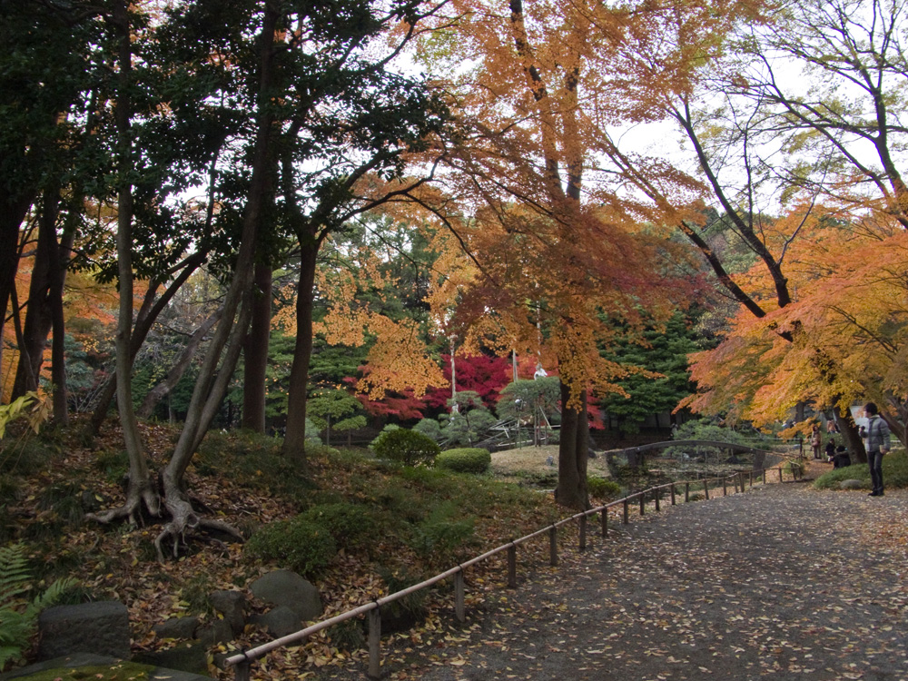 小石川後楽園の紅葉