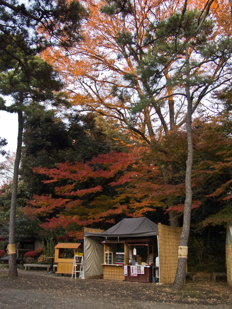 小石川後楽園の紅葉