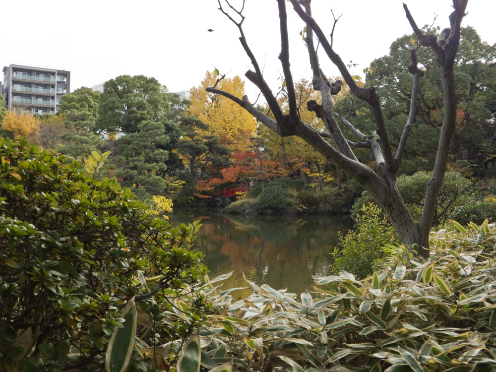 旧安田庭園の眺め