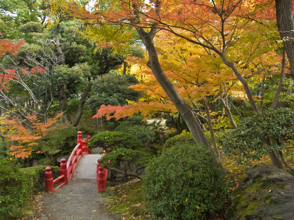 旧安田庭園の眺め2