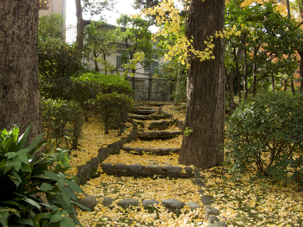 旧安田庭園の眺め3