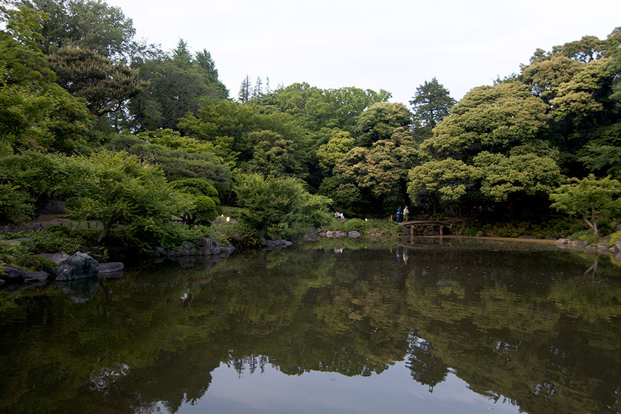 旧古河庭園の日本庭園