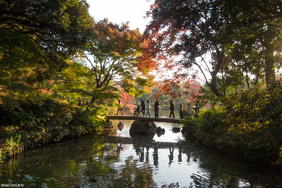 昼の六義園2