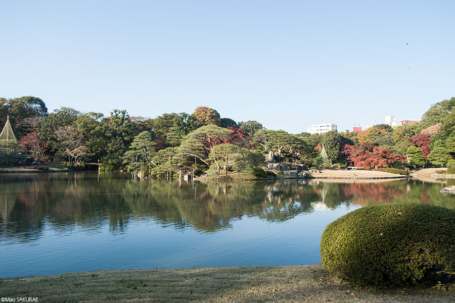 昼の六義園1