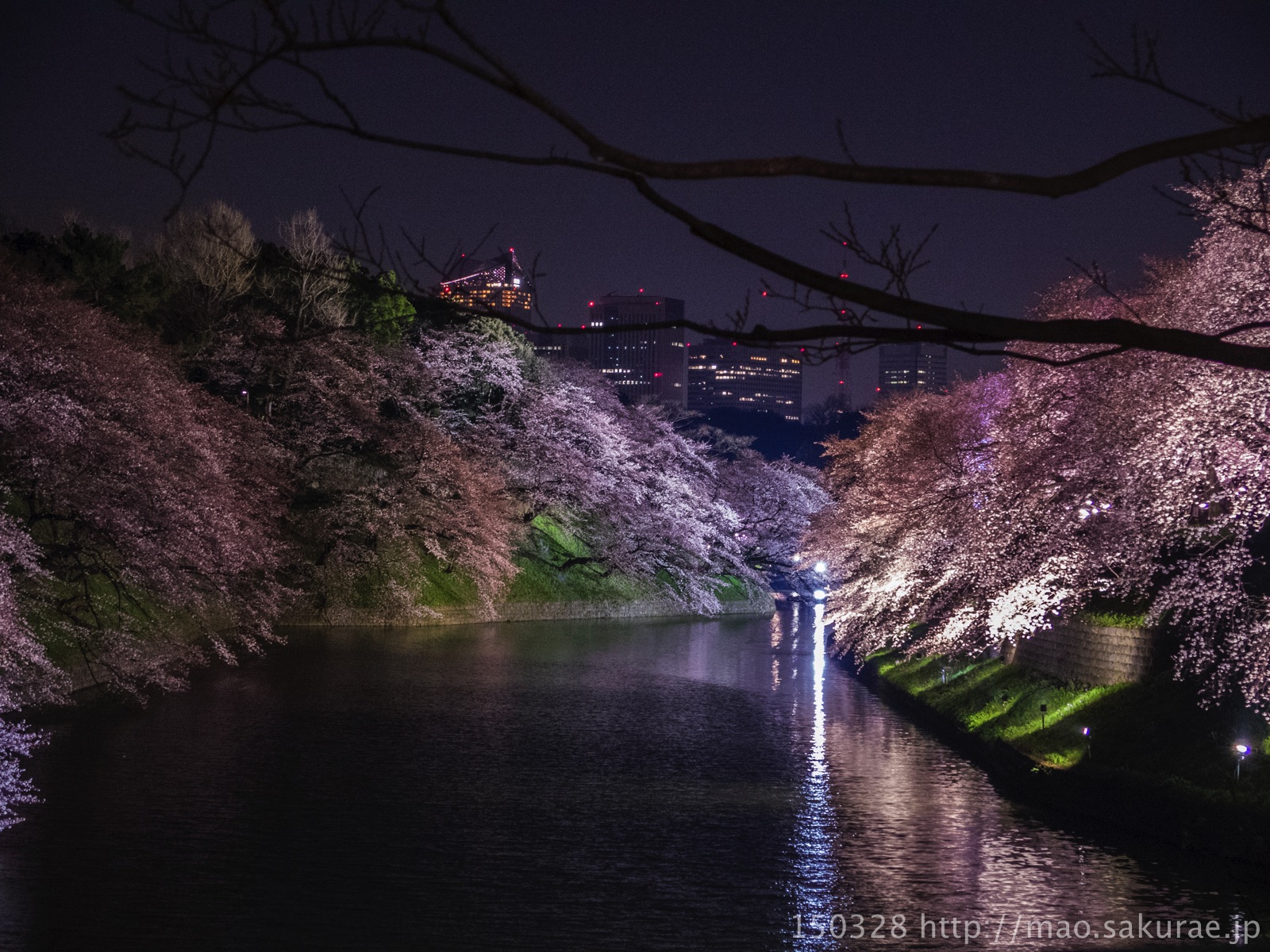 千鳥ヶ淵