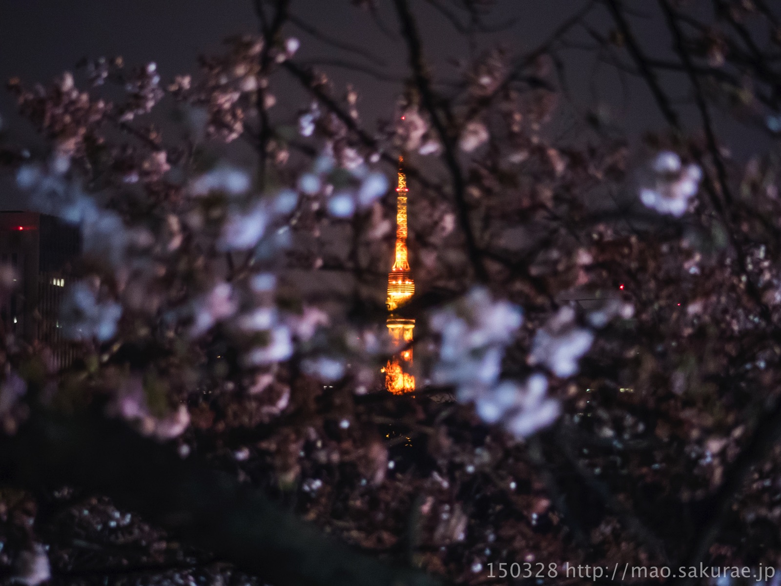 北の丸公園5(東京タワーを望む)