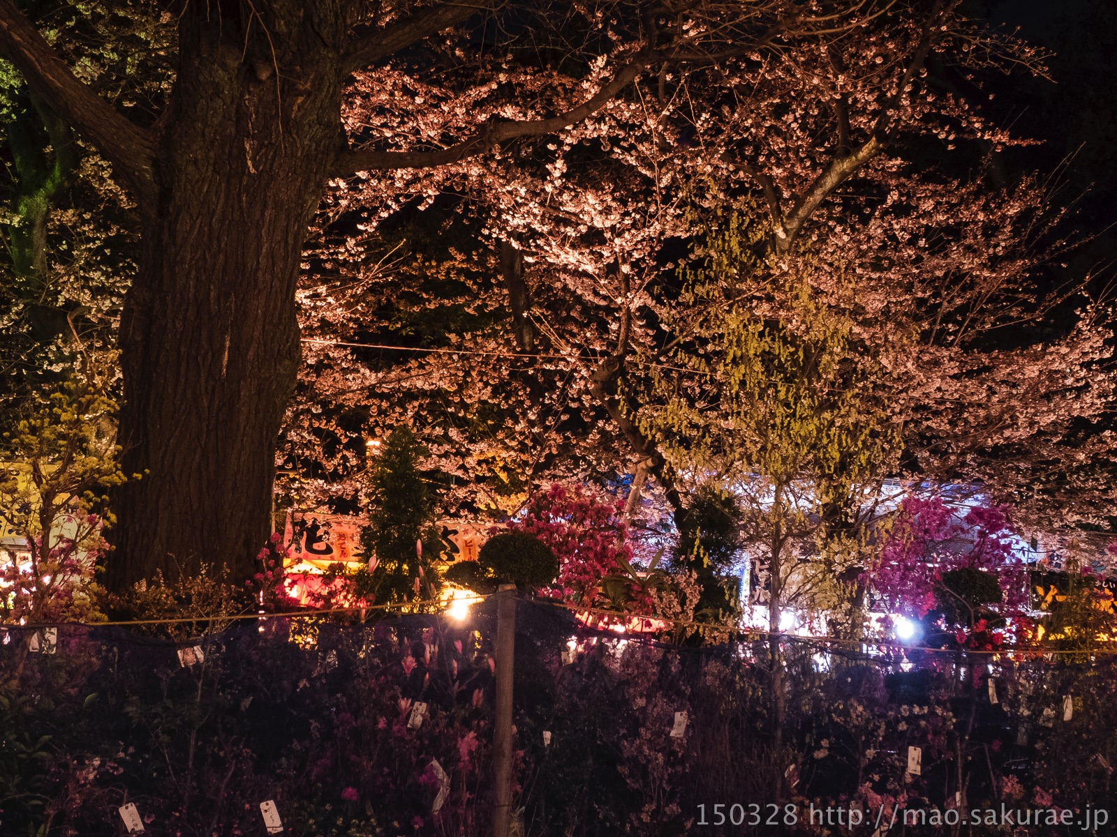 靖國神社