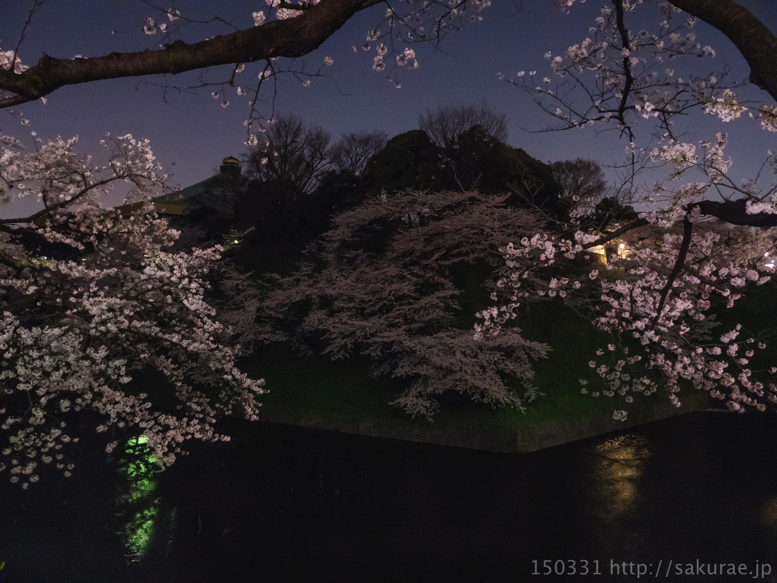 夜の千鳥ヶ淵5