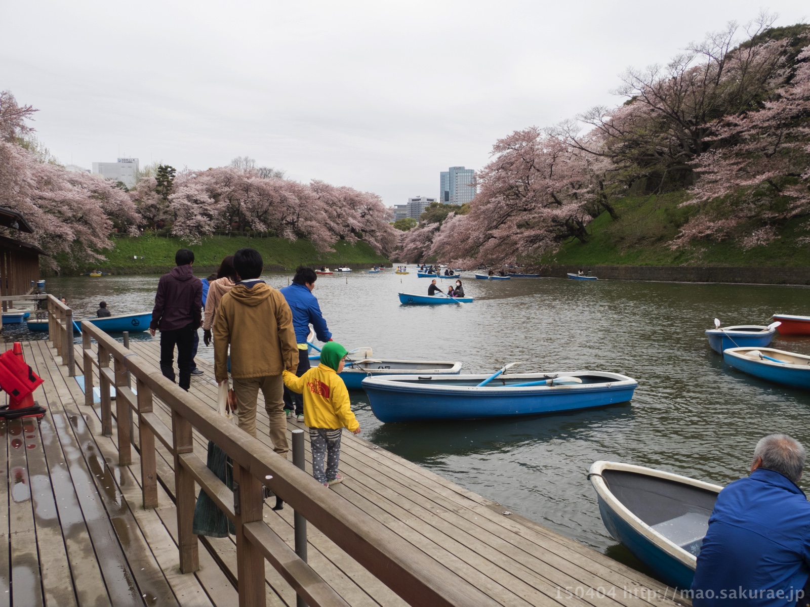 千鳥ヶ淵ボート乗り場